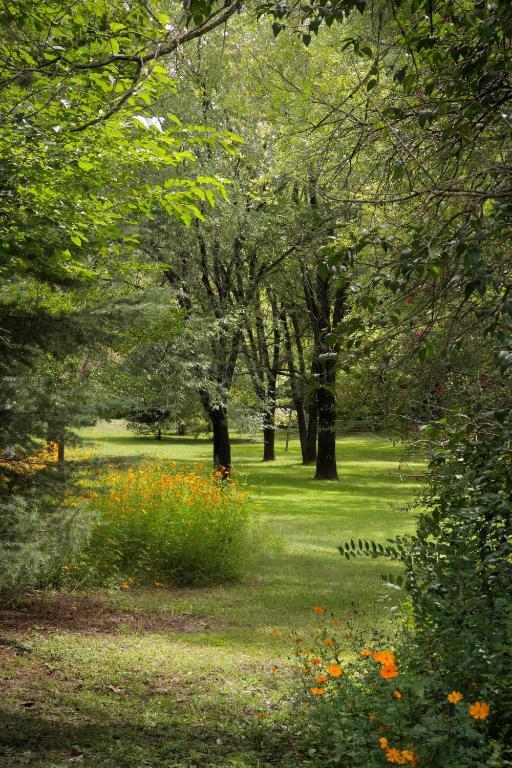 Cabanas Am Bach Villa General Belgrano Dış mekan fotoğraf
